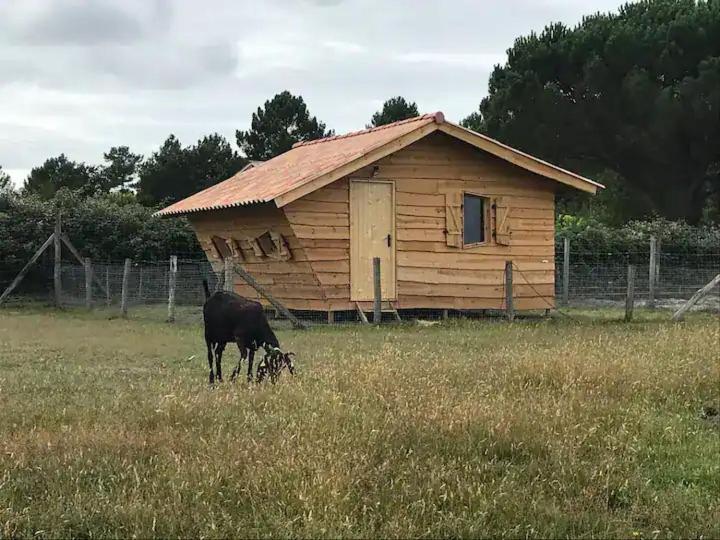 Gite - La Ferme A La Plage Le Porge Eksteriør bilde